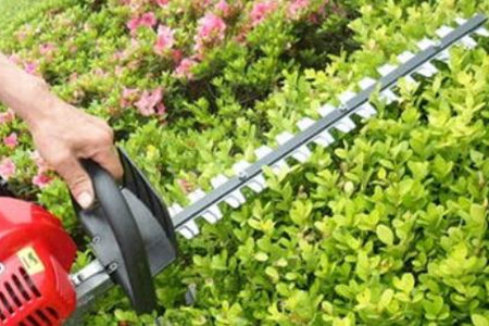 電動綠籬機(jī)刀片的價格貴嗎？